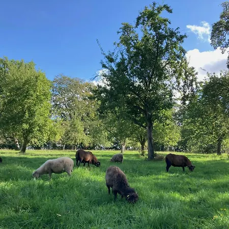 Verwalterhaus Mit Blick Auf Pferdeweide -gut Wittmoldt- *